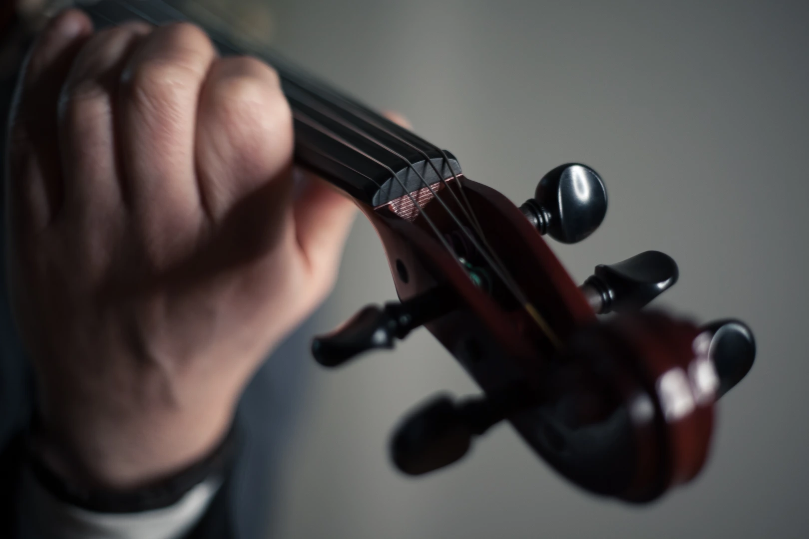 Stefano Sicolo Violine Kopf